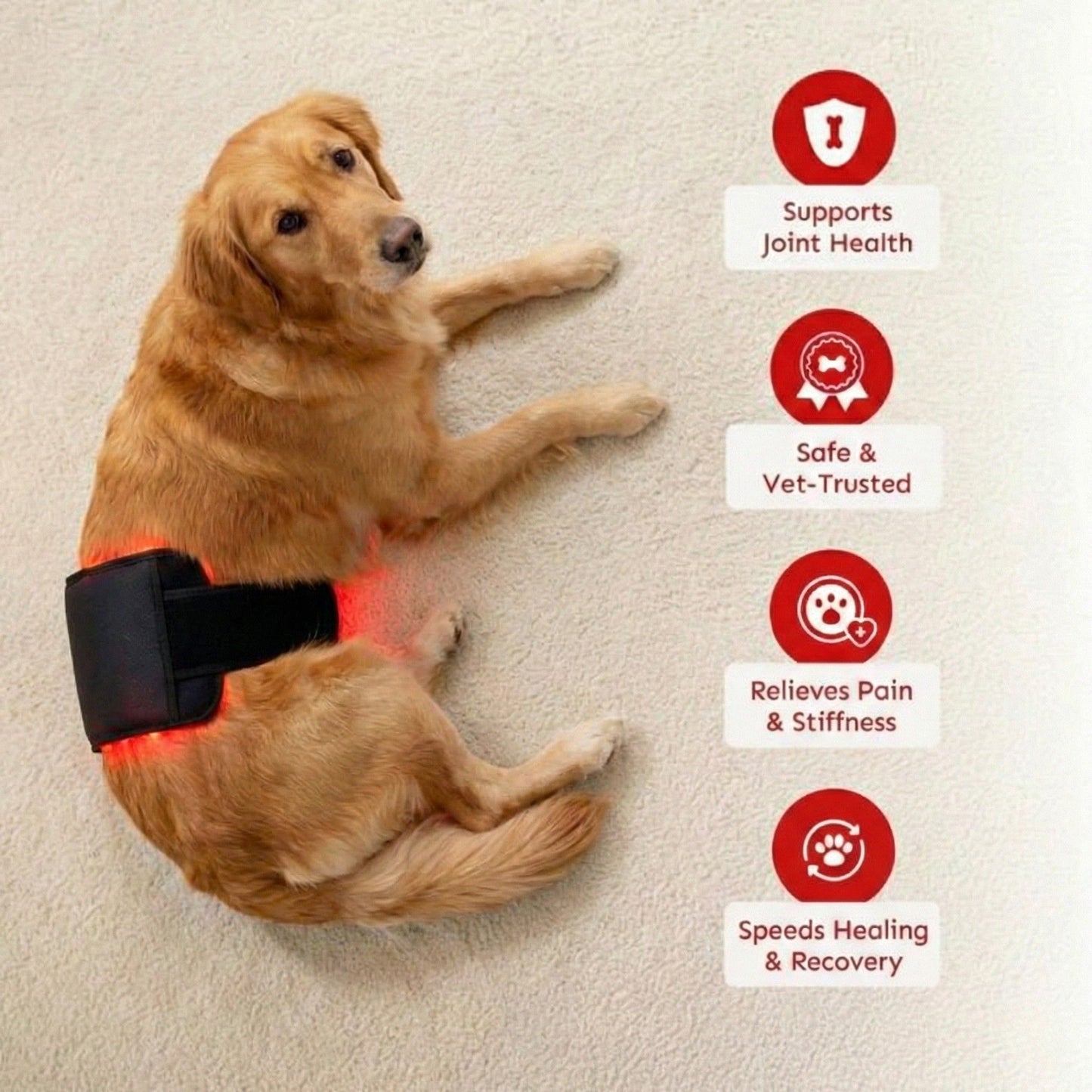 Red Light Therapy Pad for Pets