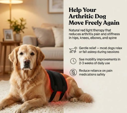 Red Light Therapy Pad for Pets