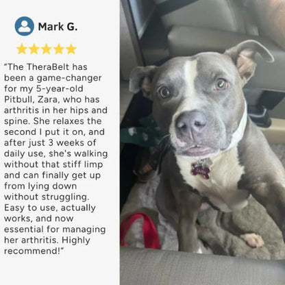 Red Light Therapy Pad for Pets