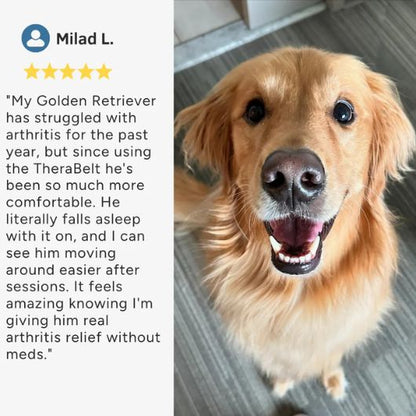 Red Light Therapy Pad for Pets