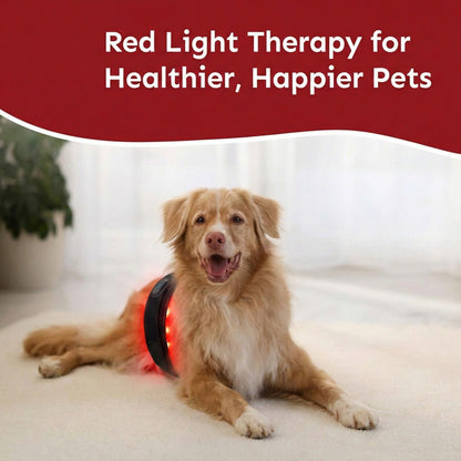 Red Light Therapy Pad for Pets