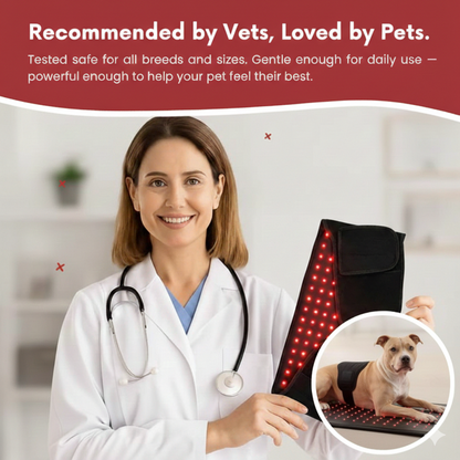 Red Light Therapy Pad for Pets